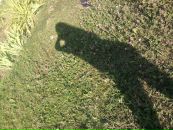 Аліночка Сухан фотография #31 (источник - https://vk.com/id135414106)