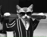 Фотография Козака Ильи