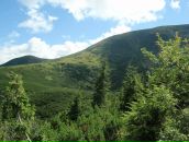 Андрій Копцюх фотография #15 (источник - https://vk.com/id5111309)