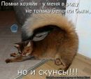 Іра Камінська фотография #39 (источник - https://vk.com/id165781045)