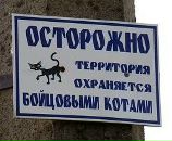 Діма Ярмольчук фотография #7 (источник - https://vk.com/id74836980)