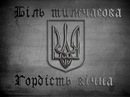 Син України фотография #13 (источник - https://vk.com/id152627594)
