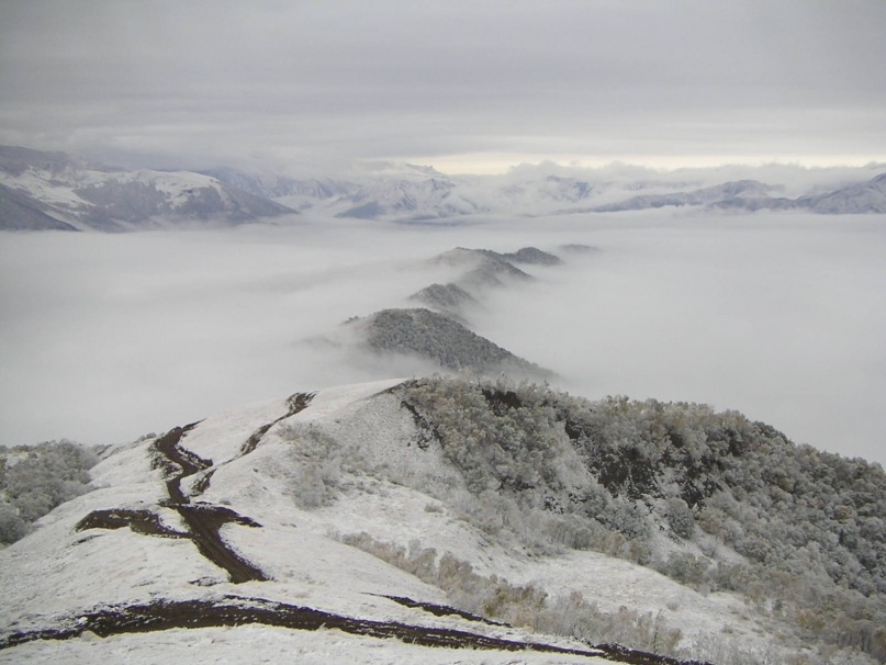 Дмитрий Шарапов фотография #31