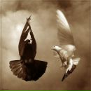 Олег Австрієць фотография #22 (источник - https://vk.com/id41393859)