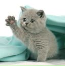 Фотография Глухотенковой Марины