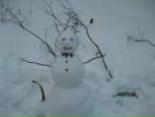 Фотография Кувшинова Ильи