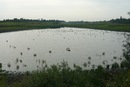 Світлана Темченко фотография #8 (источник - https://vk.com/id145107776)