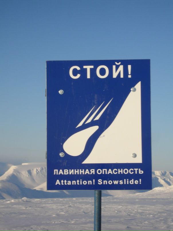 Илья Журба фотография #29