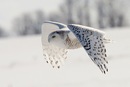 Іван Горняков фотография #23 (источник - https://vk.com/id152794618)