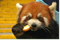 Ранит Камалов фотография #34 (источник - https://vk.com/id151852175)