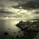 Фотография Шуйского Артема