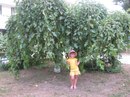 Діана Опришко фотография #16 (источник - https://vk.com/id144183183)