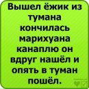 Кіба Інузука фотография #8 (источник - https://vk.com/id155216921)