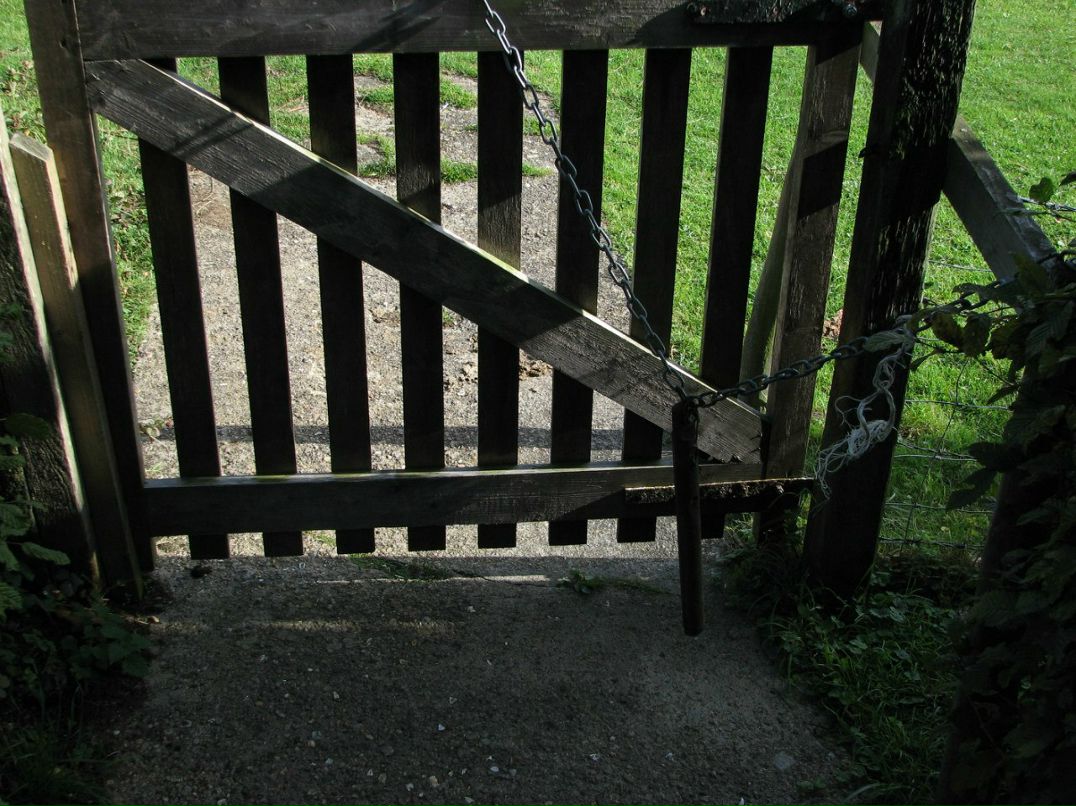 Ромул Рем фотография #12