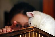 Фотография Белоножкиной Евгении