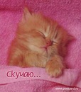 Аня Усік фотография #20 (источник - https://vk.com/id139903804)