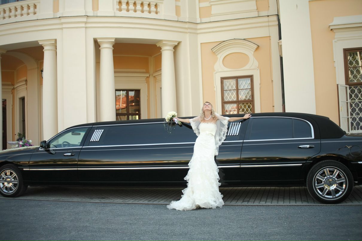 Полина Береговенко фотография #39