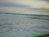 Діма Томащук фотография #16 (источник - https://vk.com/id161054196)