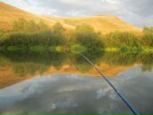 Рустем Лутфуллин фотография #27 (источник - https://vk.com/id8515565)