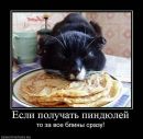 Александр Головань фотография #2 (источник - https://vk.com/id55811247)