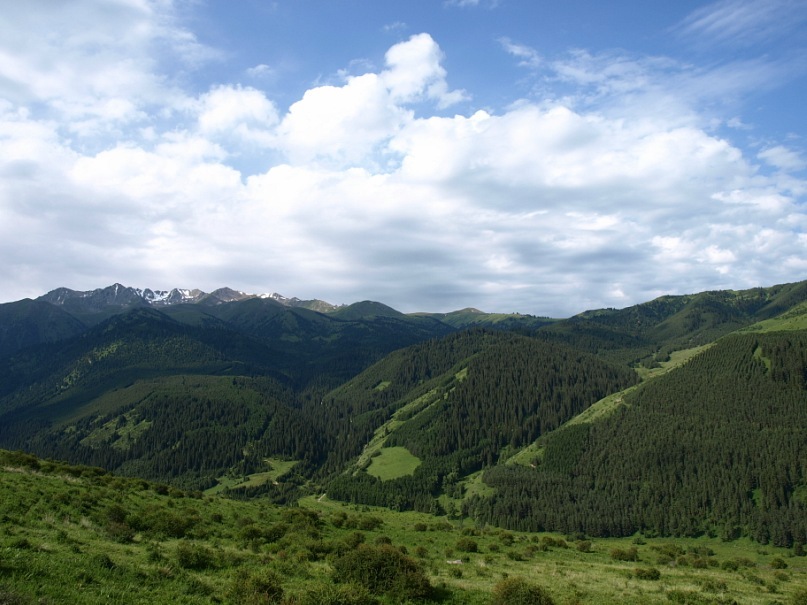 Рустем Хамидуллин фотография #46