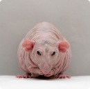 Фотография Аняновой Ольги