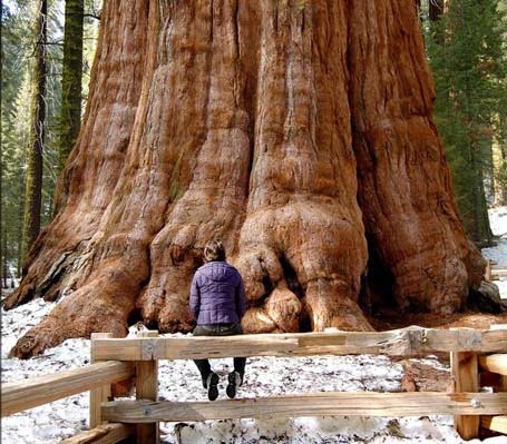 №10, Алина Кравец, Минск, Беларусь №10, Алина Кравец, Минск, Беларусь