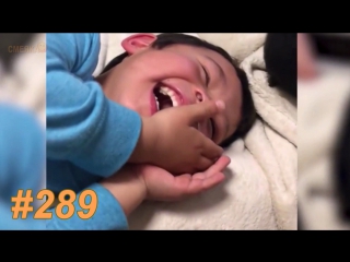 Приколы февраль 2017 №289