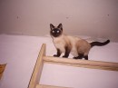 Марян Олійник фотография #14 (источник - https://vk.com/id32431257)