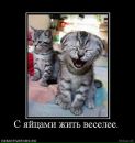 Сергій Васильович фотография #15 (источник - https://vk.com/id167313624)
