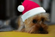 Оленка Колупаєва фотография #37 (источник - https://vk.com/id12729110)