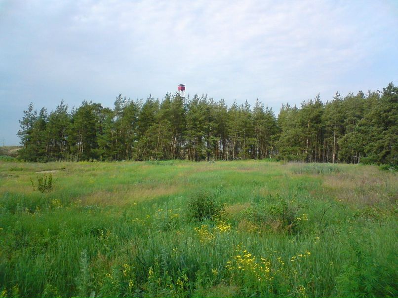 Михаил Григор фотография #31