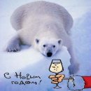 Олексій Білокур фотография #37 (источник - https://vk.com/id4407740)