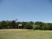 Ліна Александрова фотография #50 (источник - https://vk.com/id67032521)