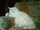 Фотография Григорьевой Катерины