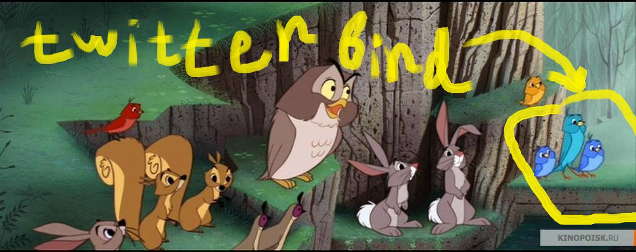 Цов Цов фотография #46