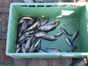 Дмитрий Махин фотография #38 (источник - https://vk.com/id4420455)