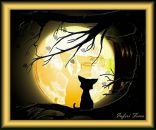 Фотография Рудаков Михаил