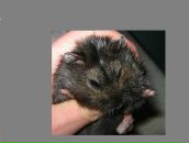 Фотография Мороз Юли