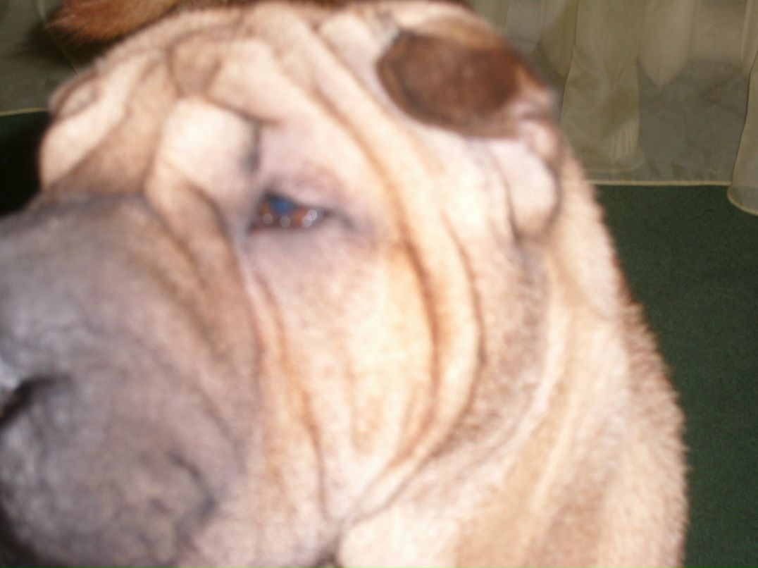 Гриша Дорощенко фотография #42