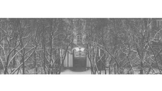 Виртуальная выставка «Winterreise. Сентиментальная сюита»