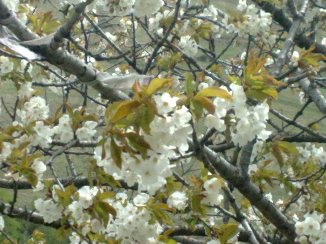 Пётр Леончук фотография #49