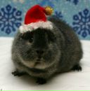 Фотография Яковлева Евгения