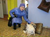 Фотография  