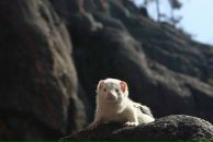 Фотография Осотовой Алёны