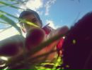 Тёма Глушаков фотография #24 (источник - https://vk.com/id57099307)
