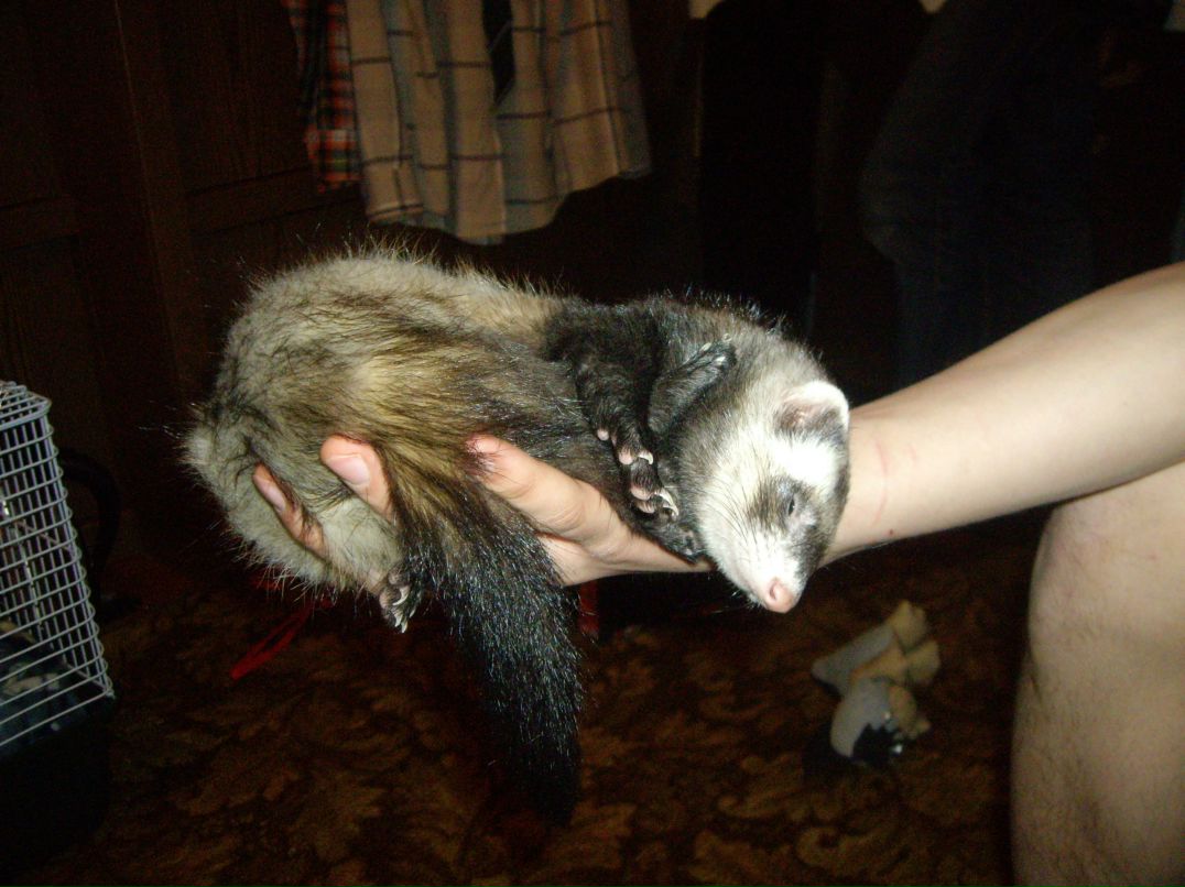 Дима Сергеевич фотография #50