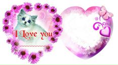 Фотография Егоренкова Михаила