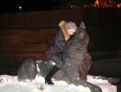 Фотография  