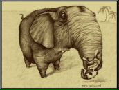 Фотография Афонской Веры